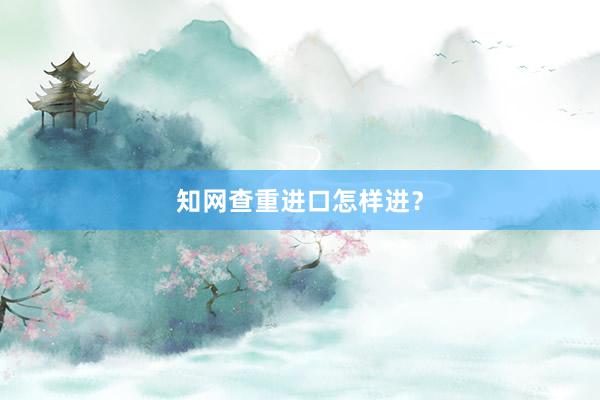 知网查重进口怎样进？