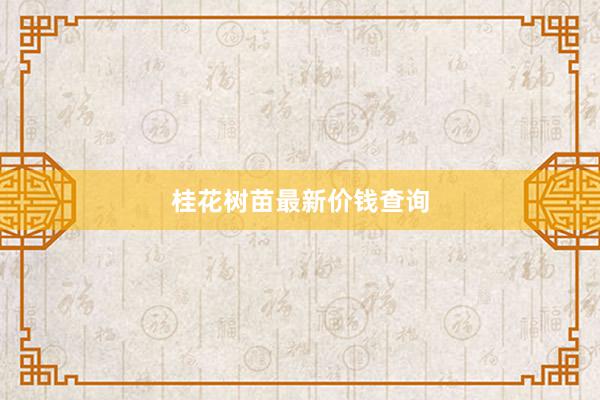 桂花树苗最新价钱查询