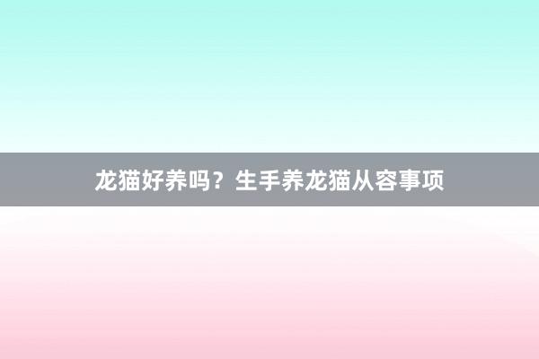 龙猫好养吗？生手养龙猫从容事项